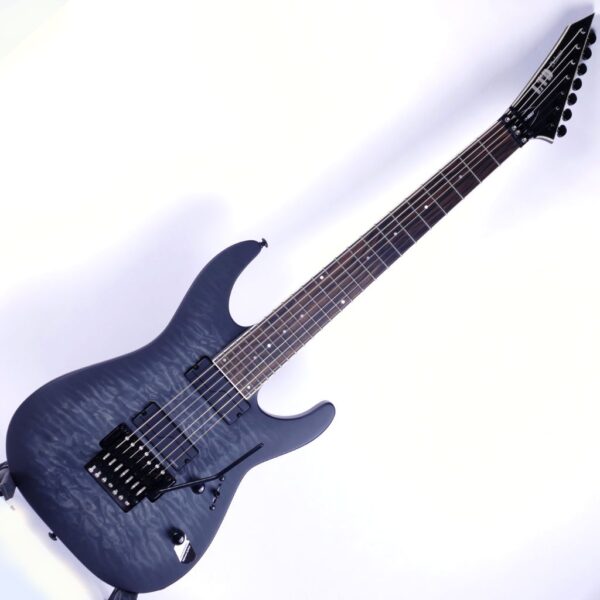 ESP Ltd M-1007 STBLKSBS 23-03 (1)