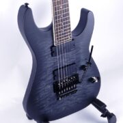 ESP Ltd M-1007 STBLKSBS 23-03 (3)