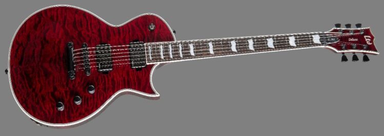 ESP Ltd EC-1000_STBC_ANGLED