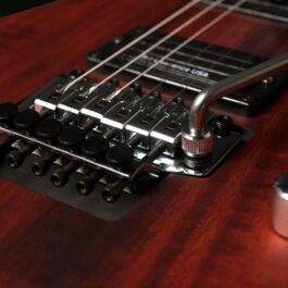 Washburn N24-NUNO VINTAGE PADAUK Vintage Paduk Stain (2)