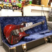 ESP USA M-II FR DX - Black Blood Splatter 2411 (14)