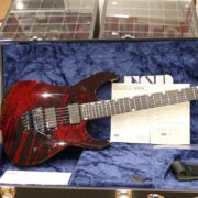 ESP USA M-II FR DX - Black Blood Splatter 2411 (16)