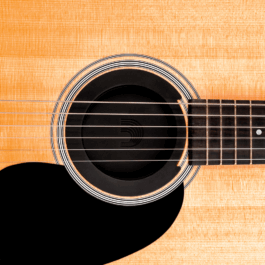 D'Addario Screeching Halt Feedback Reducer (2)