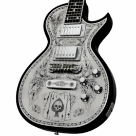 Zemaitis MFG-AC-24 As & 8s Black (2)