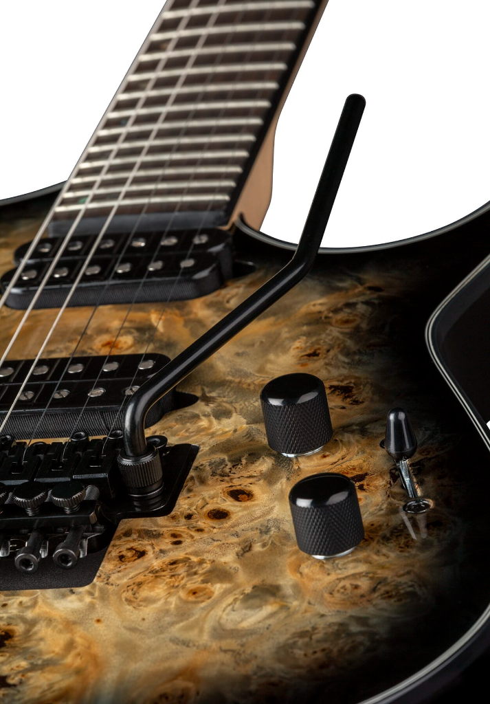 Dean Exile Select Floyd Fluence Natural Black Burst (2)