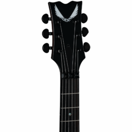 Dean Thoroughbred Classic Floyd FM Duncans Slime (2)