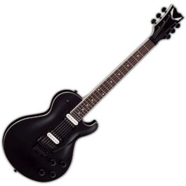 Dean Thoroughbred X Floyd Black Satin (1)