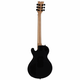 Dean Thoroughbred X Floyd Black Satin (2)