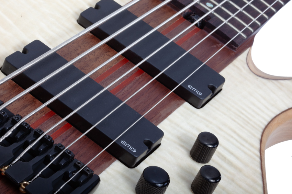 Schecter Charles Berthoud CB-6.Natural Sa 2