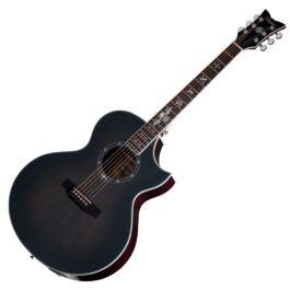 Schecter Synyster Gates 'SYN GA SC' Acoustic.01
