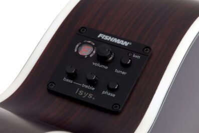 Schecter Synyster Gates 'SYN GA SC' Acoustic.07