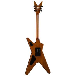 Dean Dimebag Dime Slime ML (2)
