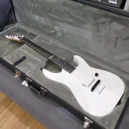 ESP E-II M-I THRU NT SW (a)