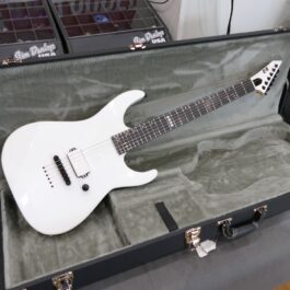 ESP E-II M-I THRU NT SW (b)