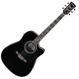 Ibanez AW391RCE-BKH Black High Gloss Top, Natural High Gloss Back and Sides (1)