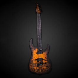 Legator N6FSS-DV Death Valley (1)