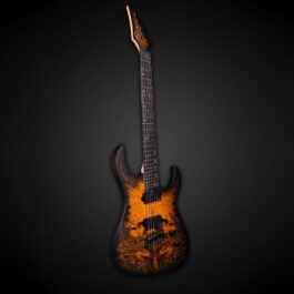 Legator N6FSS-DV Death Valley (2)